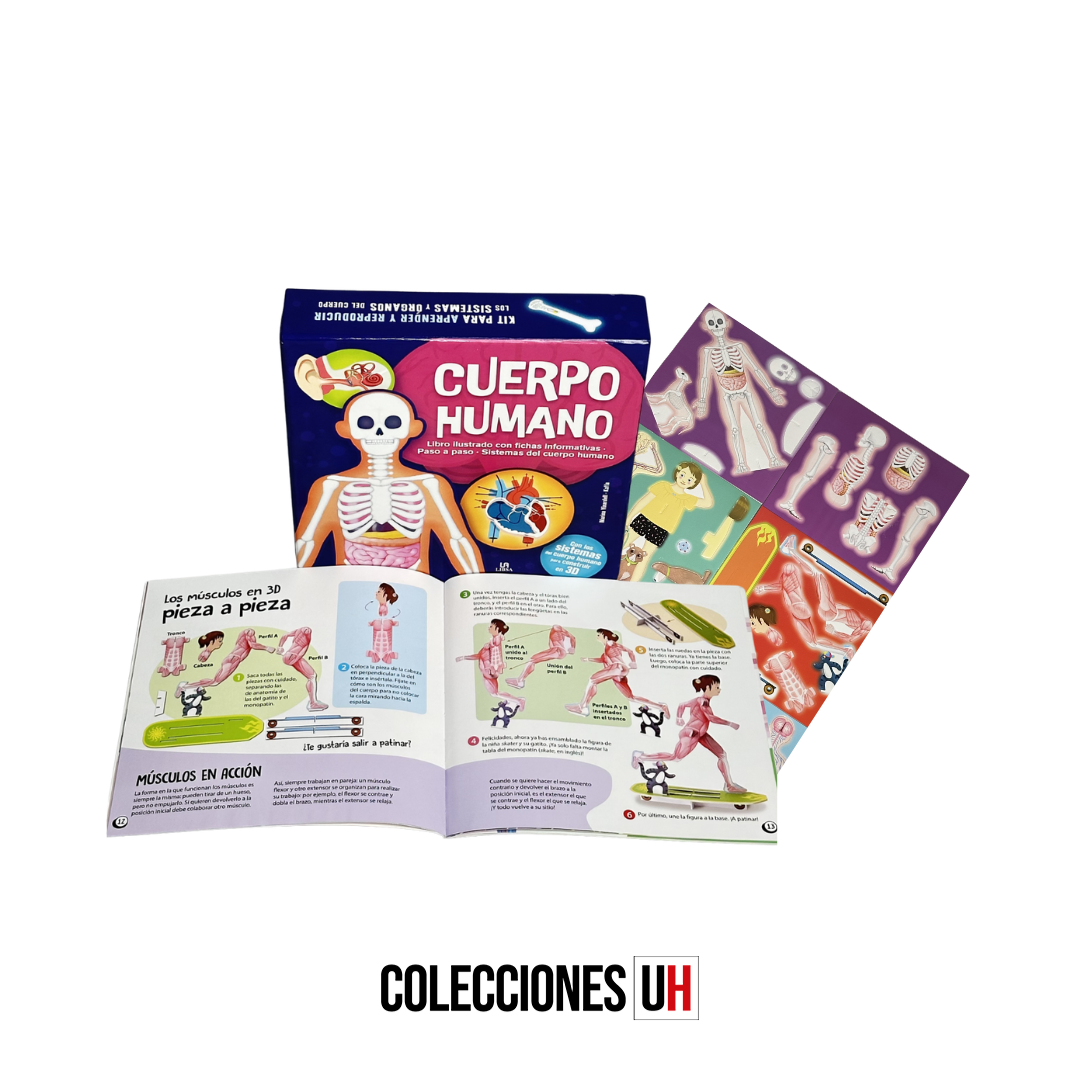 1 kit de construcción libro 1 + piezas en 3d cuerpo humano 1 kit de construcción libro 1 + piezas en 3d cuerpo humano